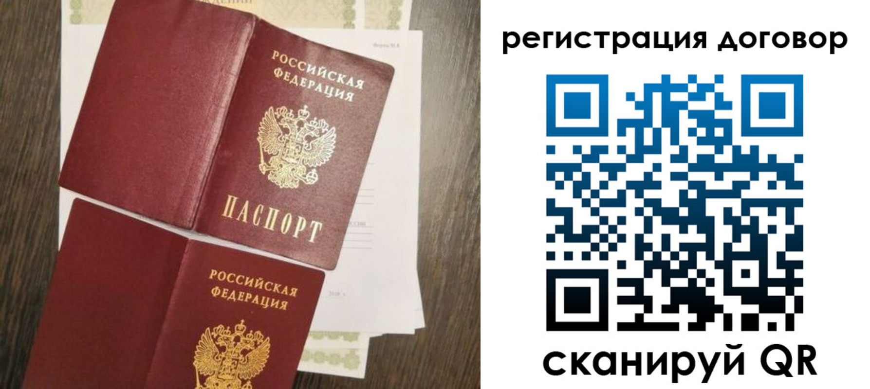 временная регистрация гарантия в Светлогорске