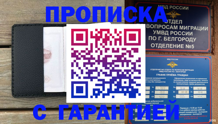 временная регистрация для всех в Светлогорске