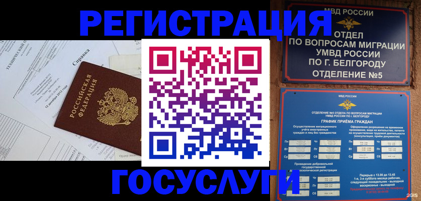 временная прописка в Светлогорске